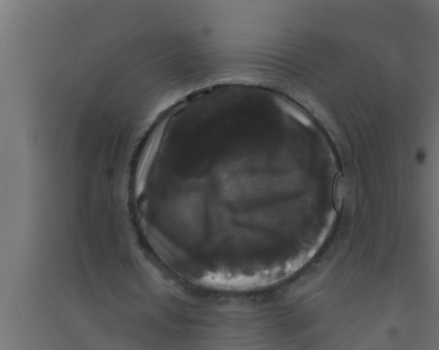 X0000094230434200711241748