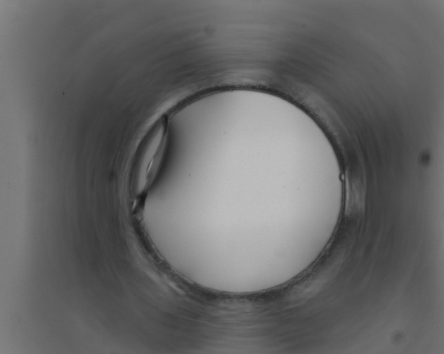 X0000094230435200711241748