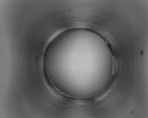 X0000094230436200711241748