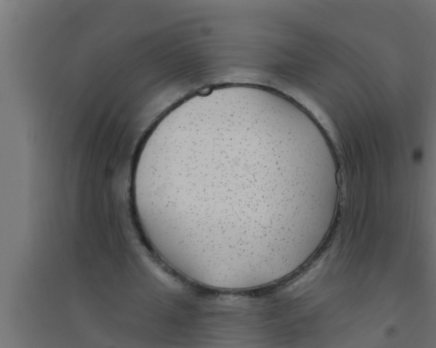 X0000094230437200711241748