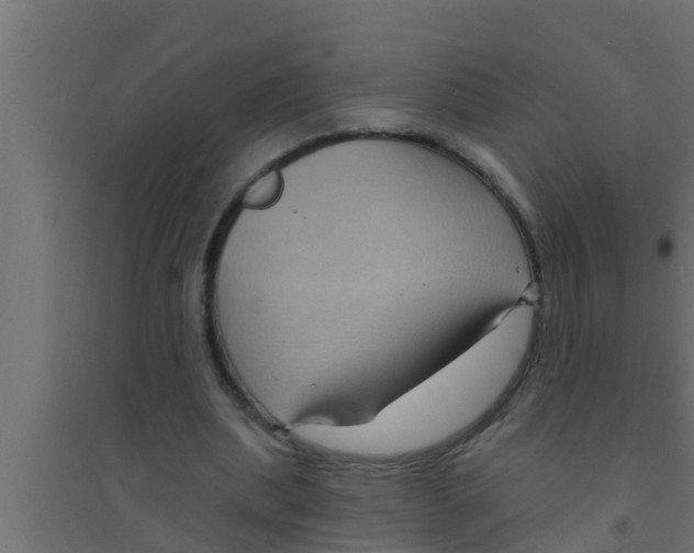 X0000094230439200711241748