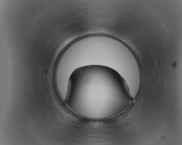 X0000094230440200711241748