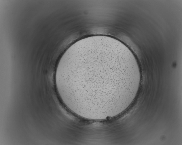 X0000094230441200711241748