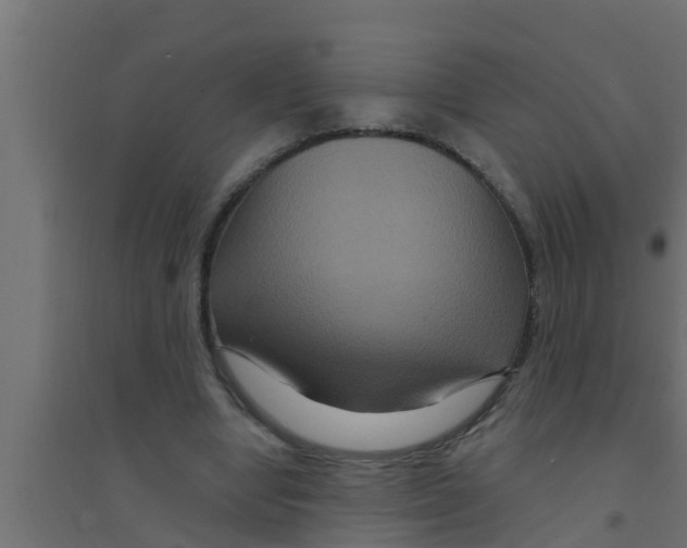 X0000094230442200711241748