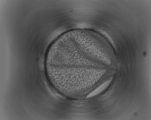 X0000094230443200711241748