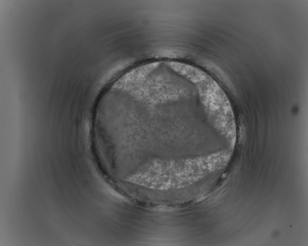 X0000094230444200711241748