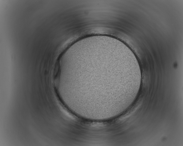 X0000094230445200711241748