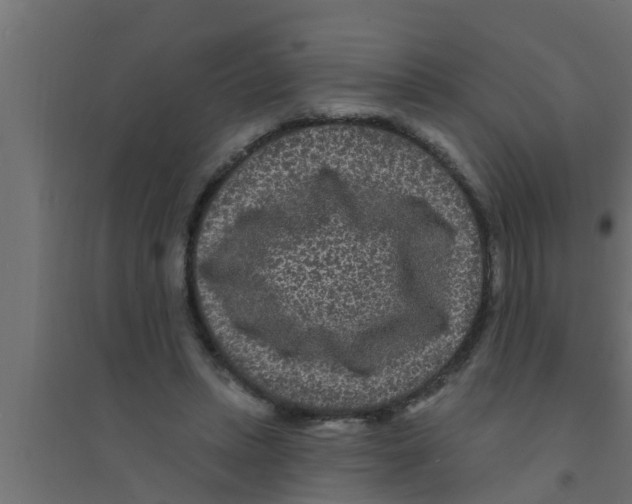 X0000094230447200711241748