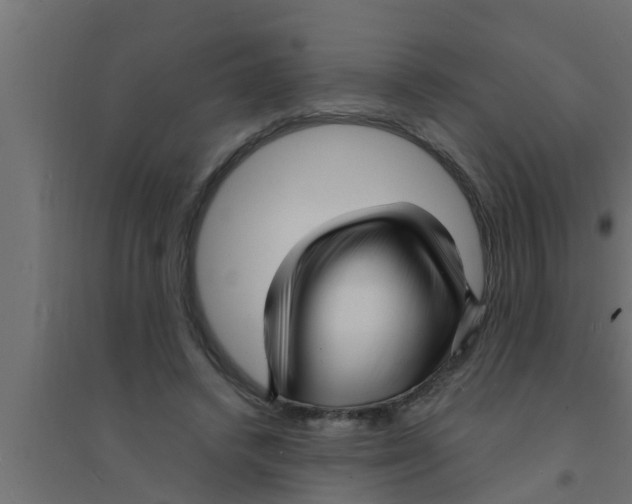 X0000094230448200711241748