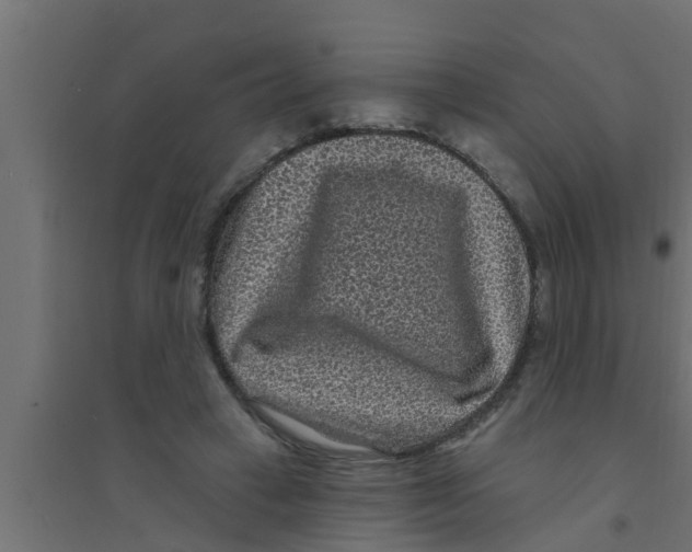 X0000094230449200711241748