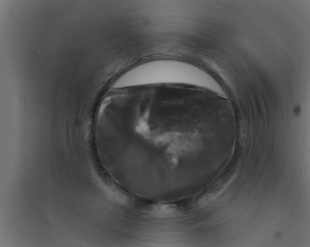 X0000094230451200711241748