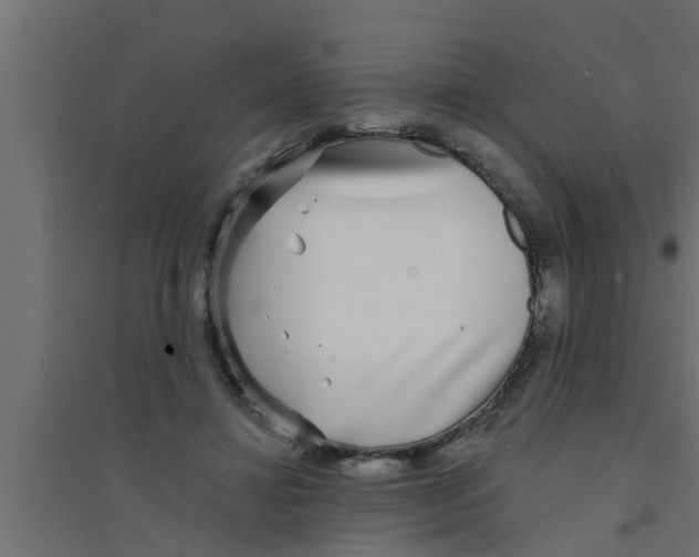 X0000094230452200711241748