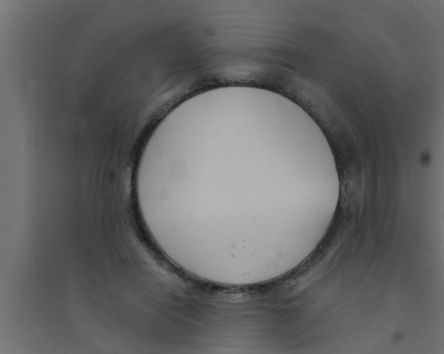 X0000094230454200711241748