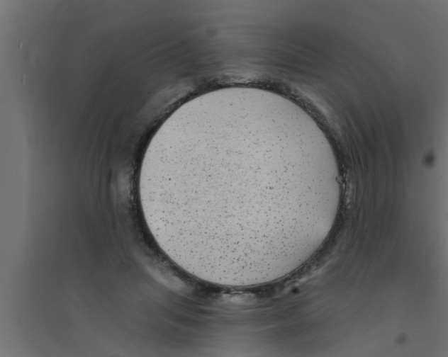 X0000094230455200711241748