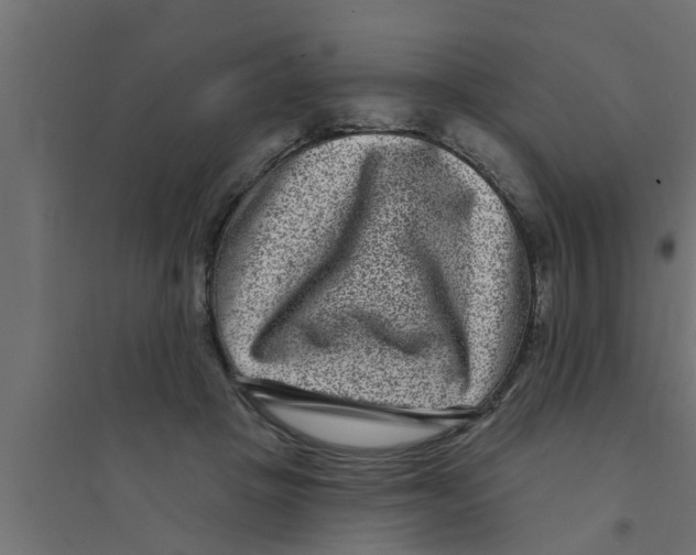 X0000094230457200711241749