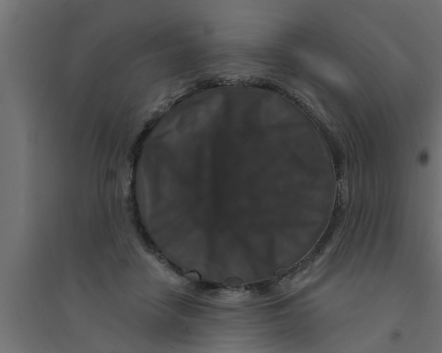 X0000094230458200711241749