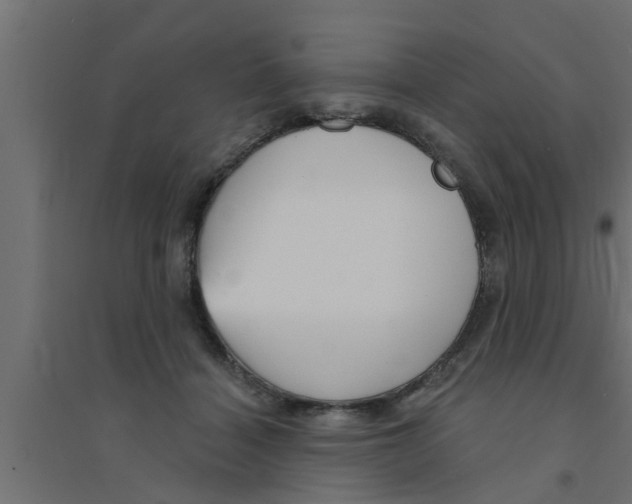 X0000094230460200711241749