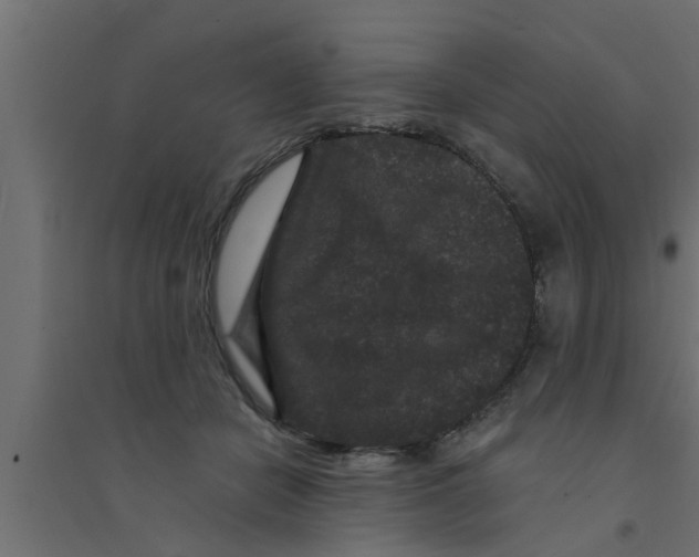 X0000094230462200711241749