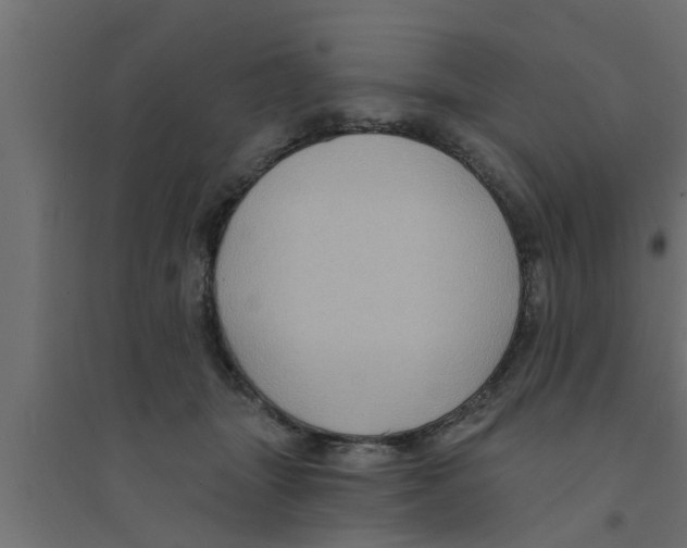 X0000094230463200711241749