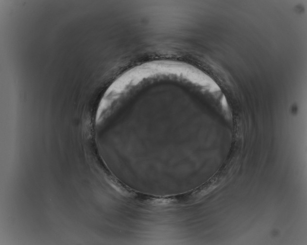 X0000094230465200711241749
