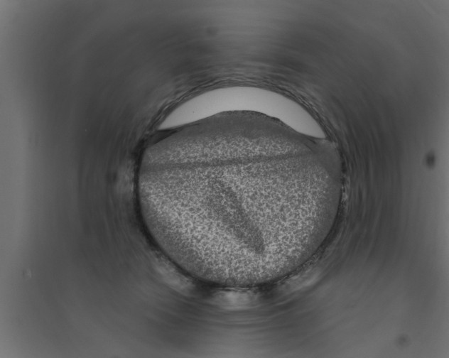 X0000094230466200711241749