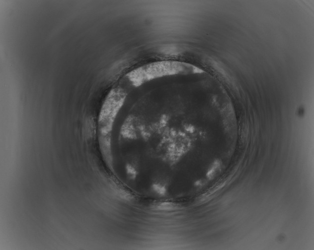 X0000094230467200711241749