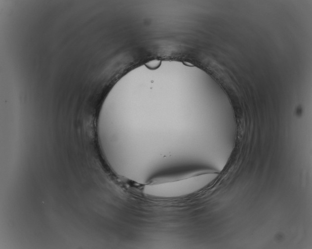X0000094230470200711241749