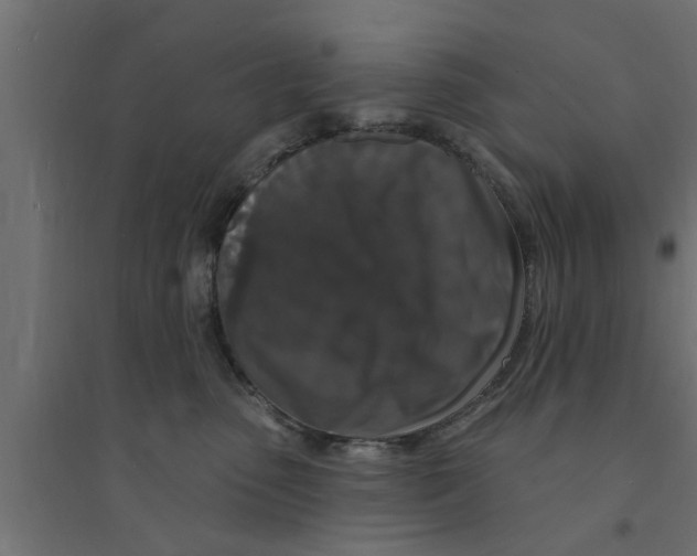 X0000094230475200711241749