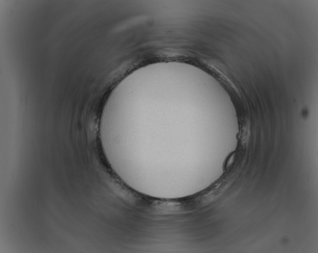 X0000094230476200711241749