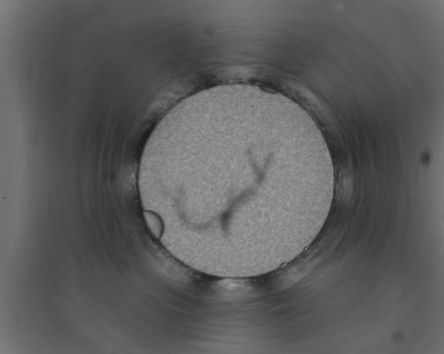 X0000094230477200711241749