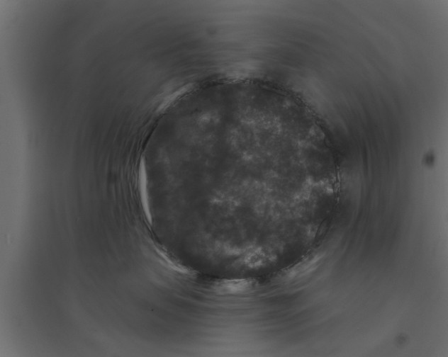 X0000094230479200711241749