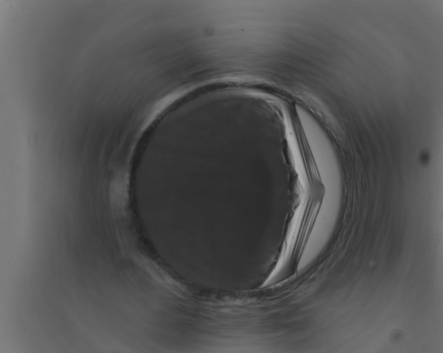 X0000094230484200711241748