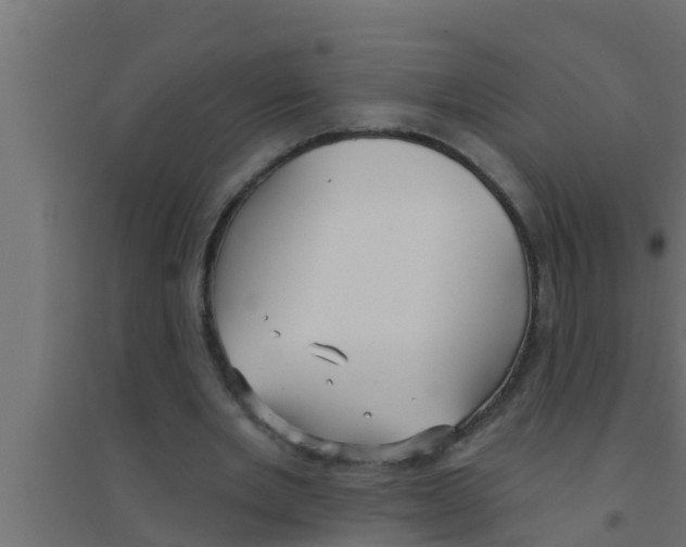 X0000094230485200711241748