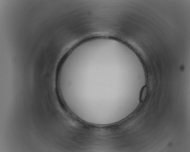 X0000094230486200711241748