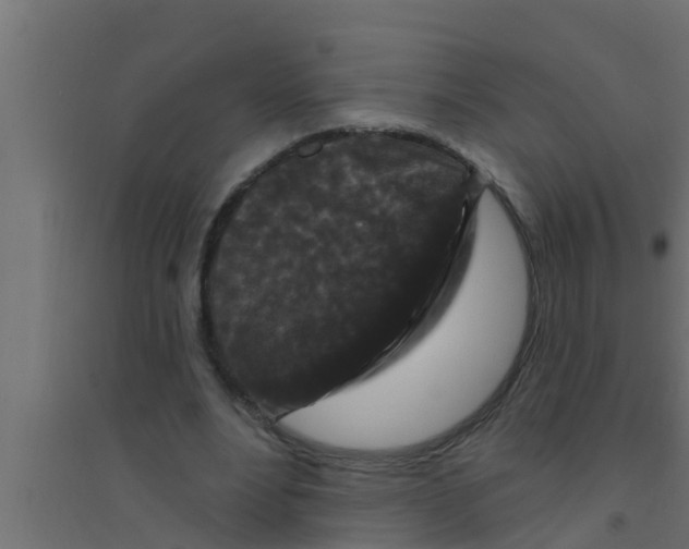 X0000094230488200711241748