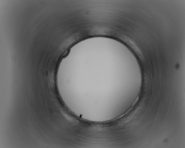 X0000094230489200711241748