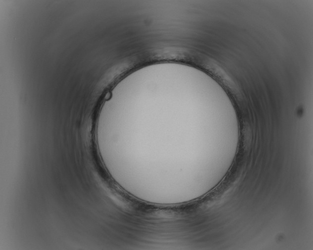 X0000094230490200711241748