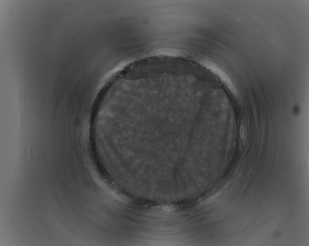 X0000094230492200711241748