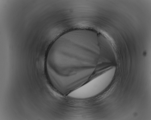 X0000094230493200711241748
