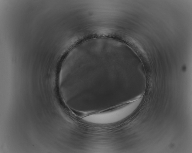 X0000094230496200711241748
