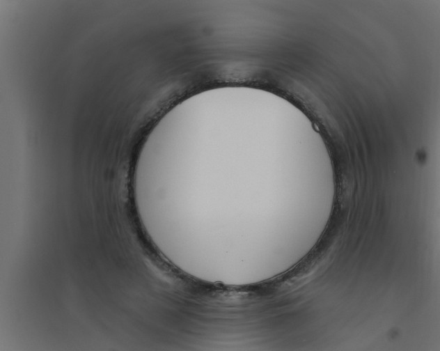 X0000094230497200711241748