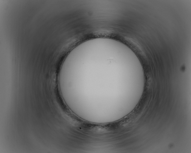 X0000094230498200711241748
