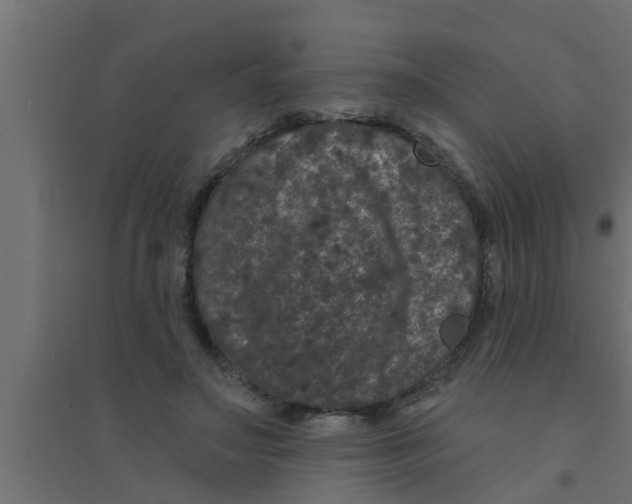 X0000094230499200711241748