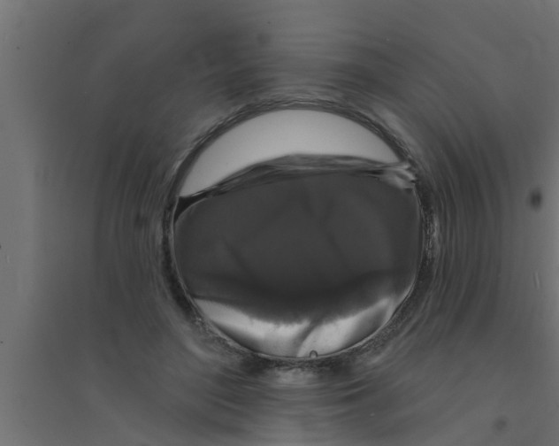 X0000094230500200711241748