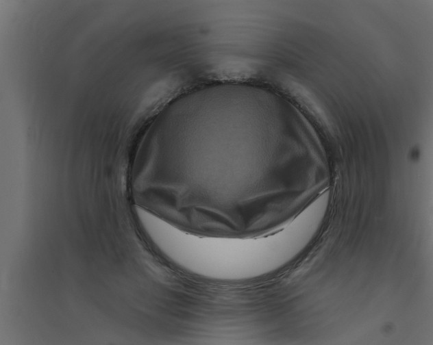 X0000094230501200711241748