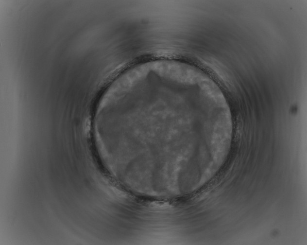 X0000094230502200711241748