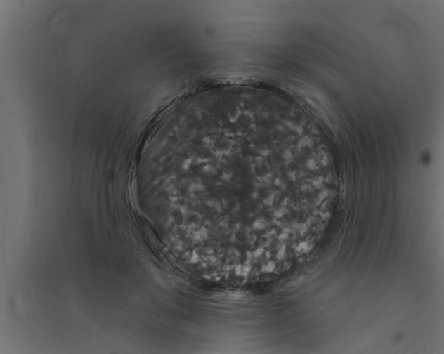 X0000094230503200711241748