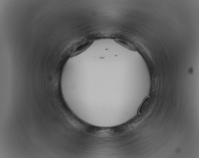 X0000094230505200711241748