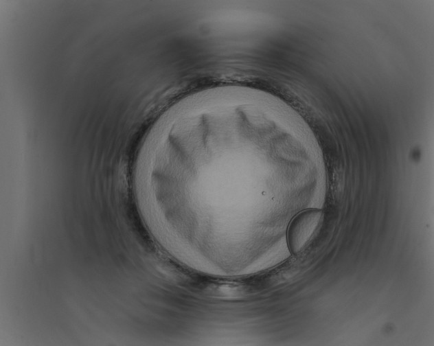 X0000094230506200711241748