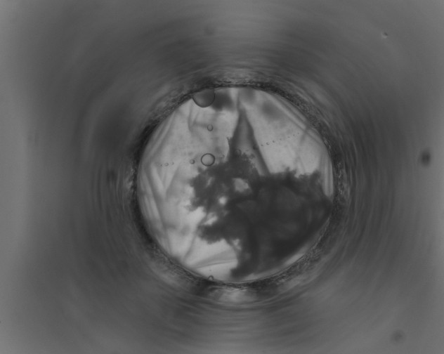 X0000094230507200711241748